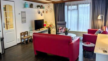 Télévision, lecteur de DVD, table de tennis de table, vidéothèque