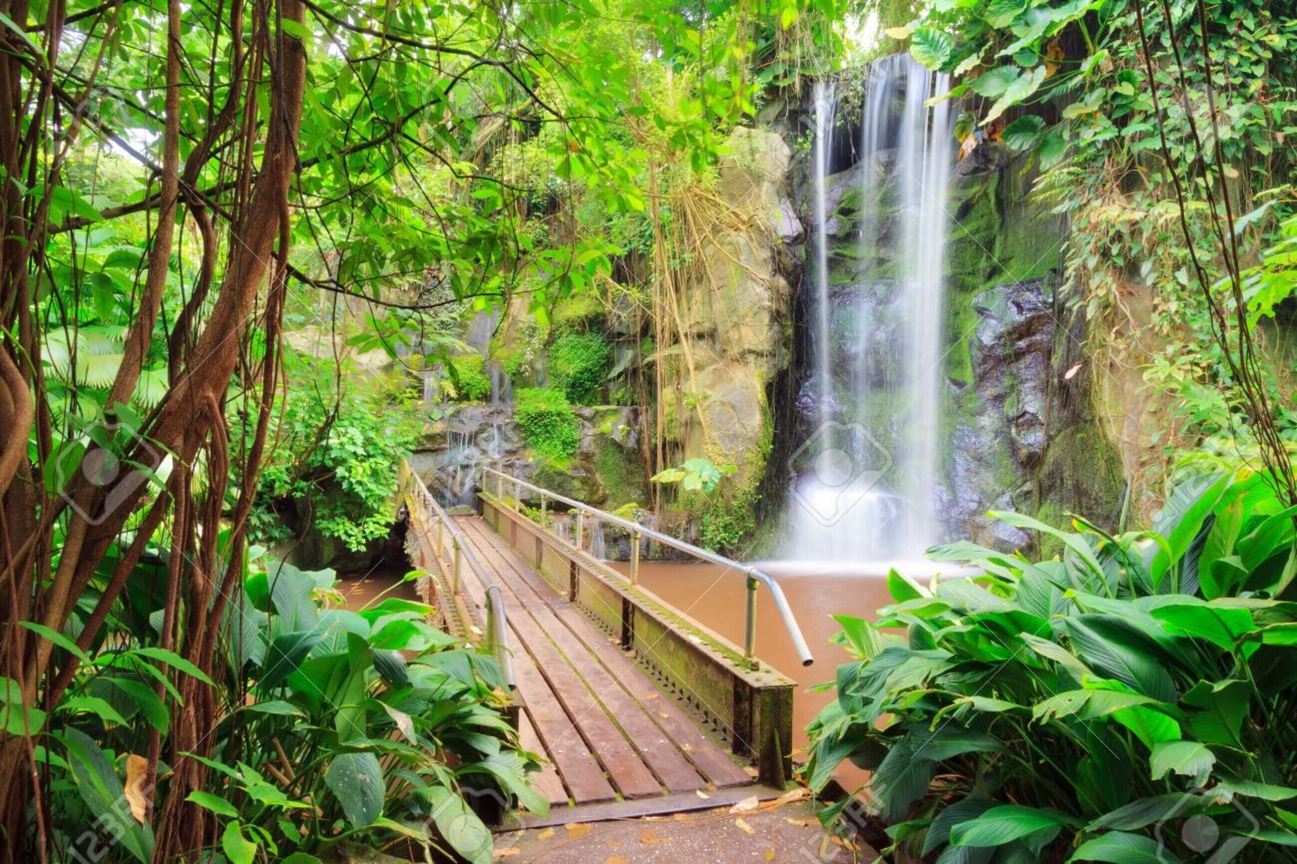 Un pont en bois menant à une cascade, le tout entouré d’une végétation luxuriante.