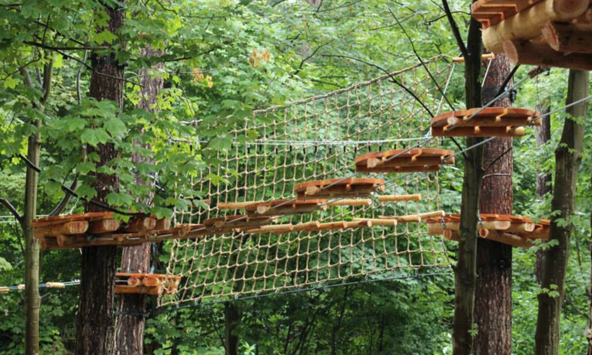 A rope bridge in a forested area.