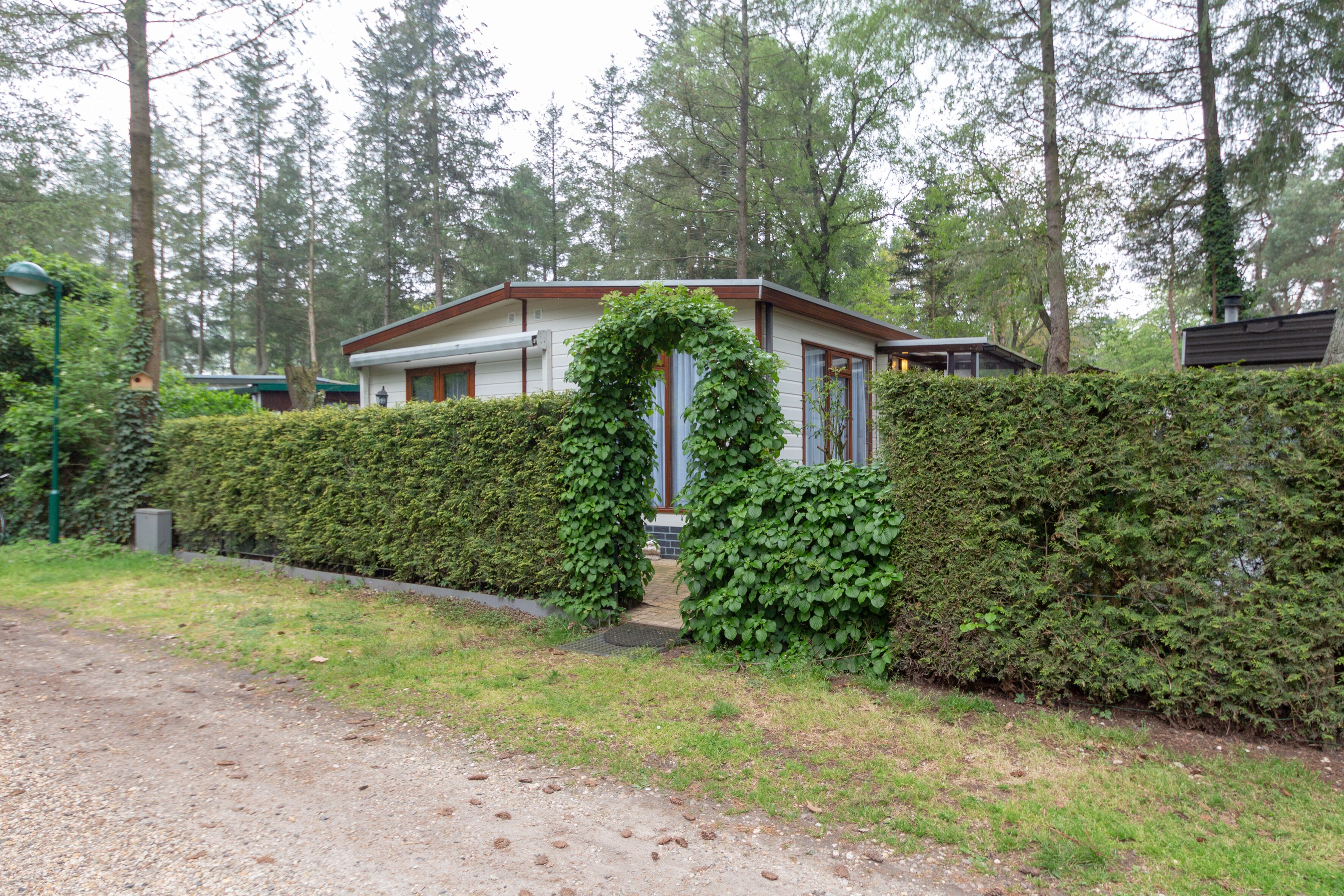 A single-story house with a covered porch, surrounded by dense hedges and tall trees.