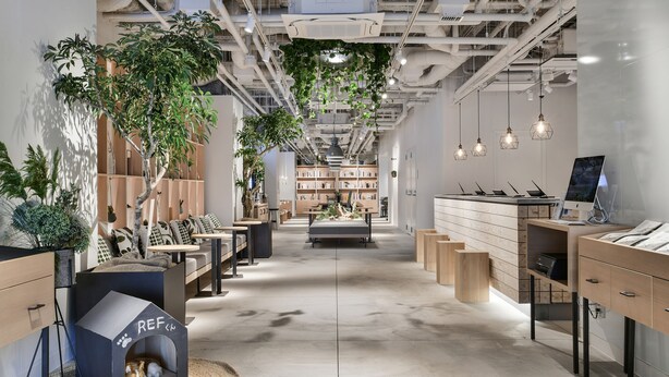 A modern retail store with a central seating area, shelves with products, and hanging plants. - REF Omiya by VESSEL HOTELS (Saitama)