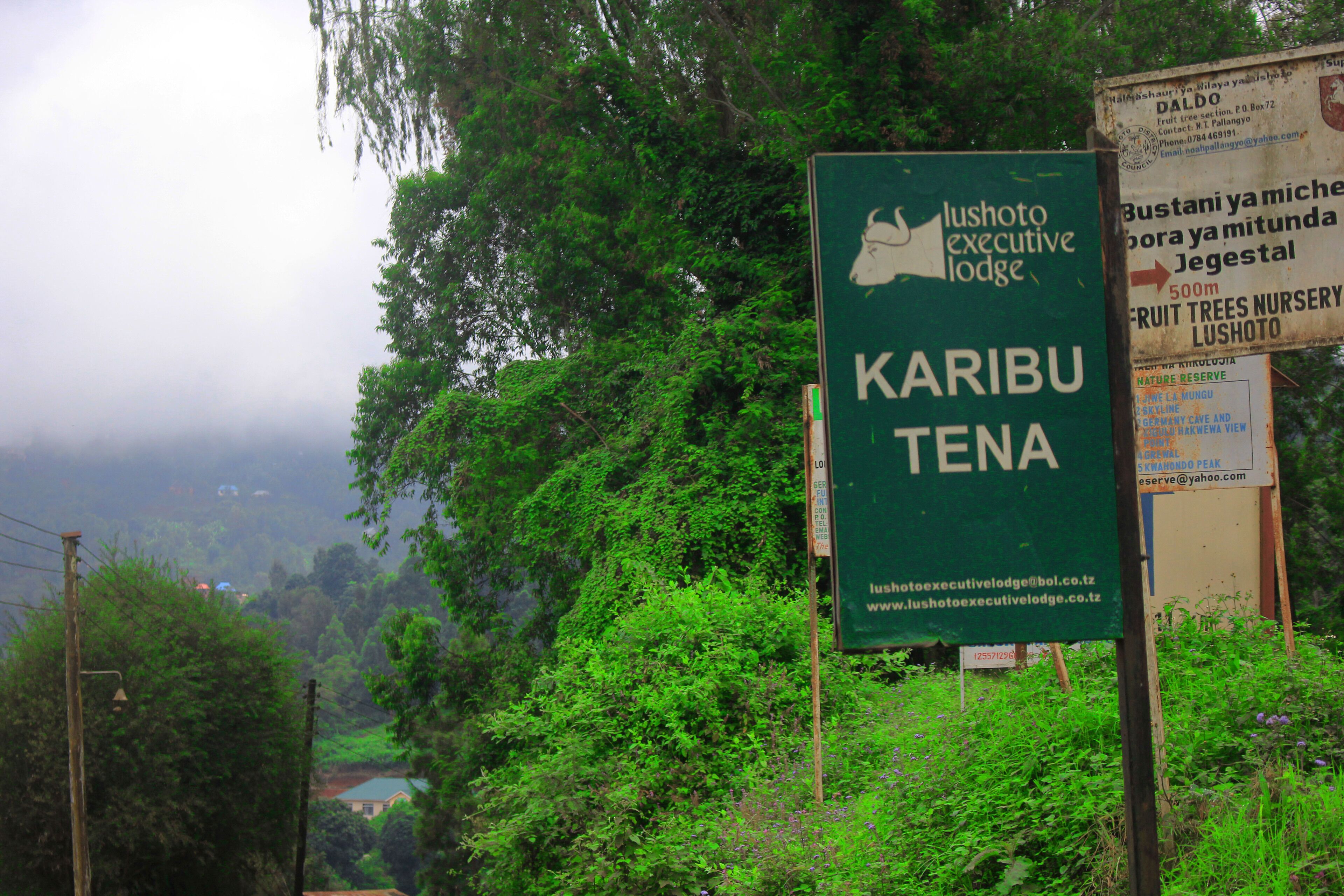 A sign for Lushoto Executive Lodge in Karibu Tena, with contact information and website.