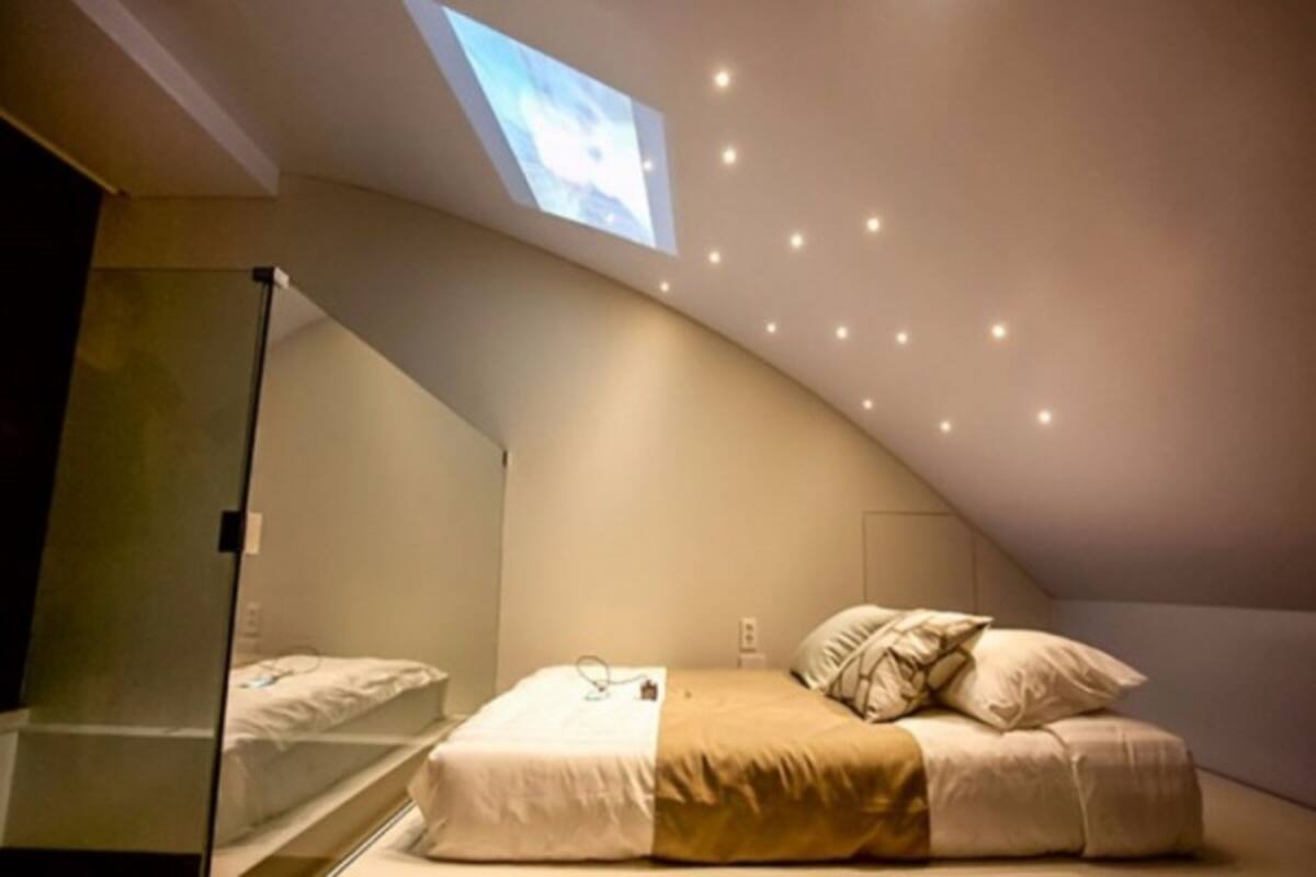 A bedroom with a curved ceiling, a skylight, and recessed lighting.
