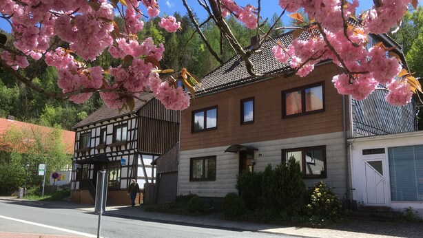 Eksteriør