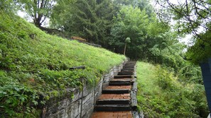 A set of stone steps leading up a grassy slope, surrounded by dense greenery and trees.