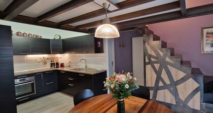 Blanche Charmant duplex-Apartment