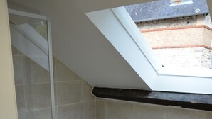 A small bathroom with a shower, a bathtub, and a skylight.