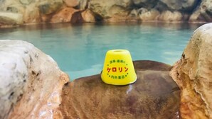 A yellow bottle with Japanese text on a rock by a pool. - Hotel Shirahama (Shirahama)