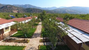 Filas de casas con tejados rojos de teja, paneles solares y un sendero de piedra que atraviesa un jardín.
