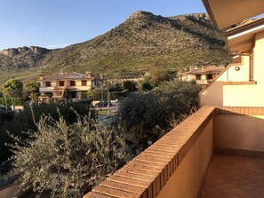A residential area with houses, a mountain in the background, and a balcony with a brick wall.