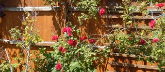 Cherry Palace 3 BD Parking Spaces groups