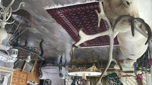 Una habitación con techo de madera, una cabeza de animal montada y diversas decoraciones colgantes.