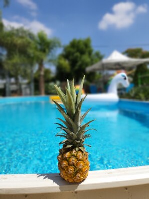 Outdoor pool, sun loungers - Morad HaHarbel (Galil Tachton)