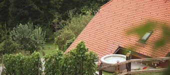 Vineyard cottage Tramte