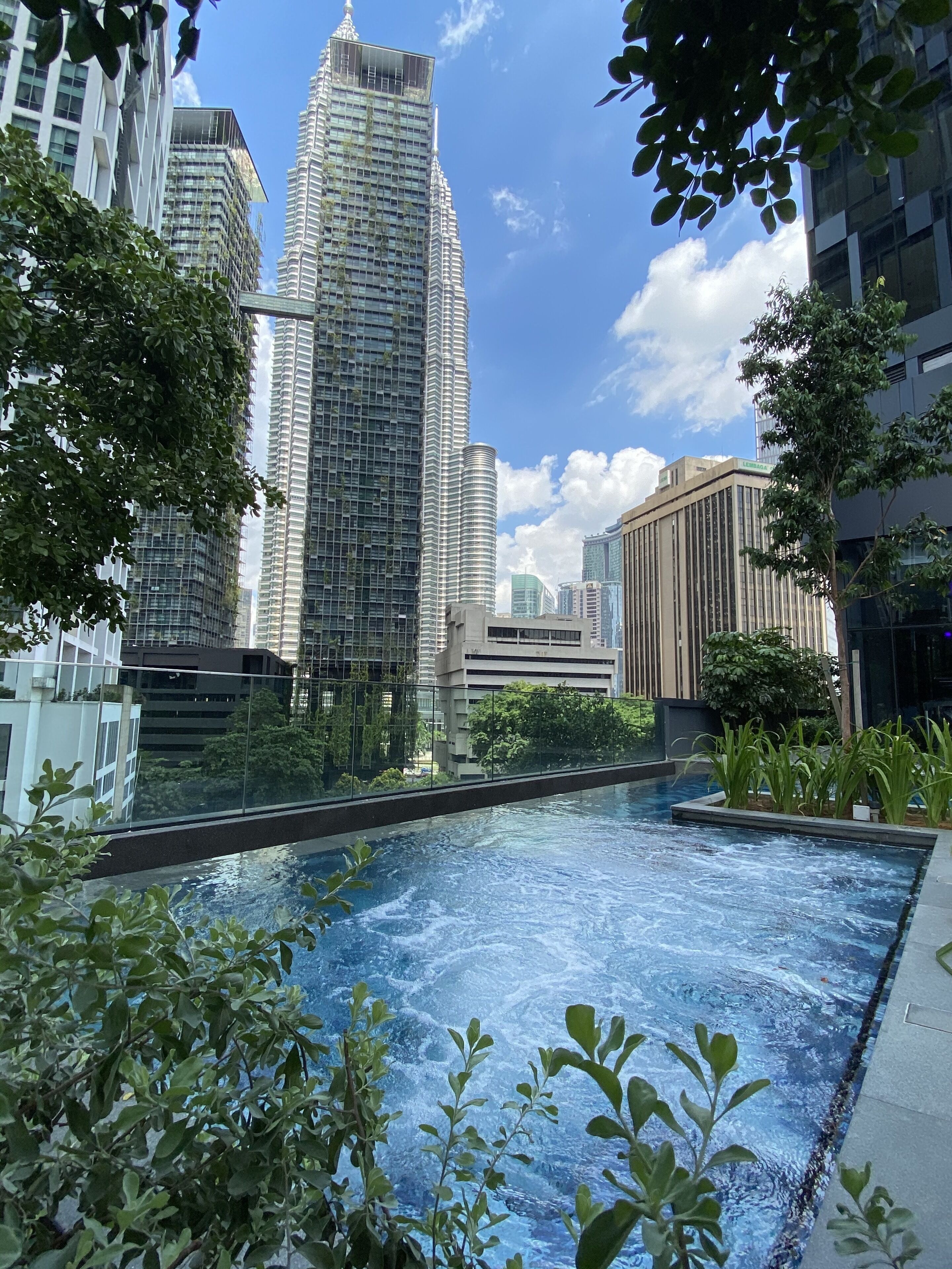 A rooftop swimming pool with a view of high-rise buildings and greenery.