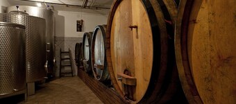 Ucman 葡萄園小屋