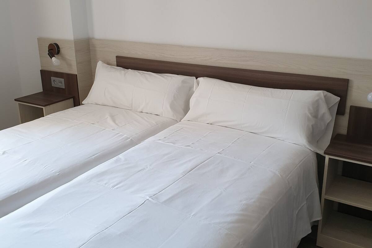 Habitación estándar con 2 camas individuales (8) | Edredones de plumas, escritorio, espacio para trabajar con un portátil