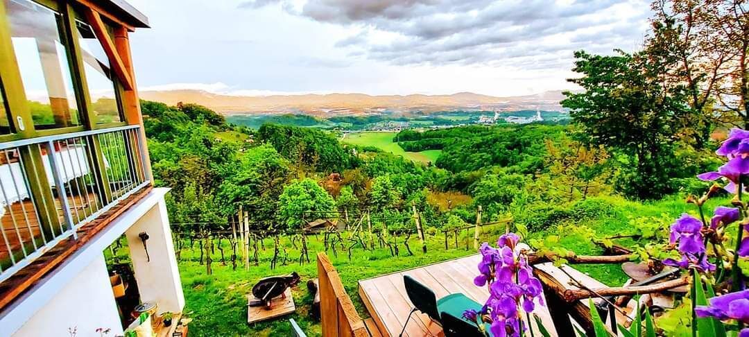 Ein Balkon mit Blick auf einen Weinberg und ferne Hügel.