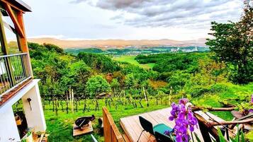 Ein Balkon mit Blick auf einen Weinberg und ferne Hügel.
