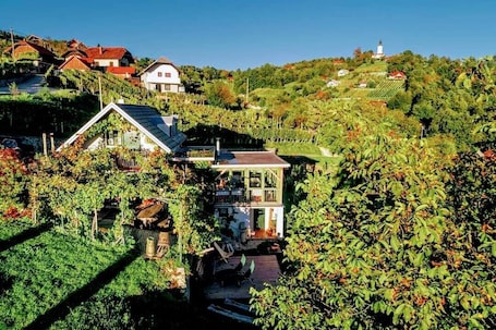 Building design. Vineyard cottage Verček