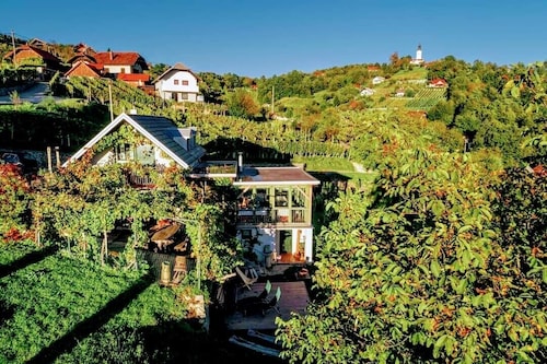 Vineyard cottage Verček