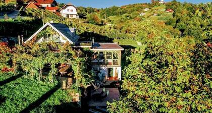 Vineyard cottage VerÄek