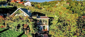 Vineyard cottage Verček