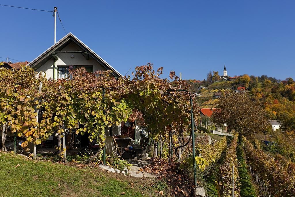 Ein Haus mit geneigtem Dach, einem sichtbaren Schornstein und einem Garten mit Weinreben.
