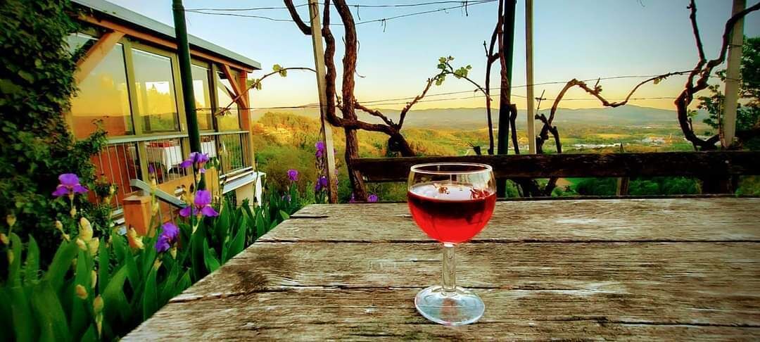 Una copa de vino tinto sobre una mesa de madera, con vistas a un viñedo y una casa al fondo.