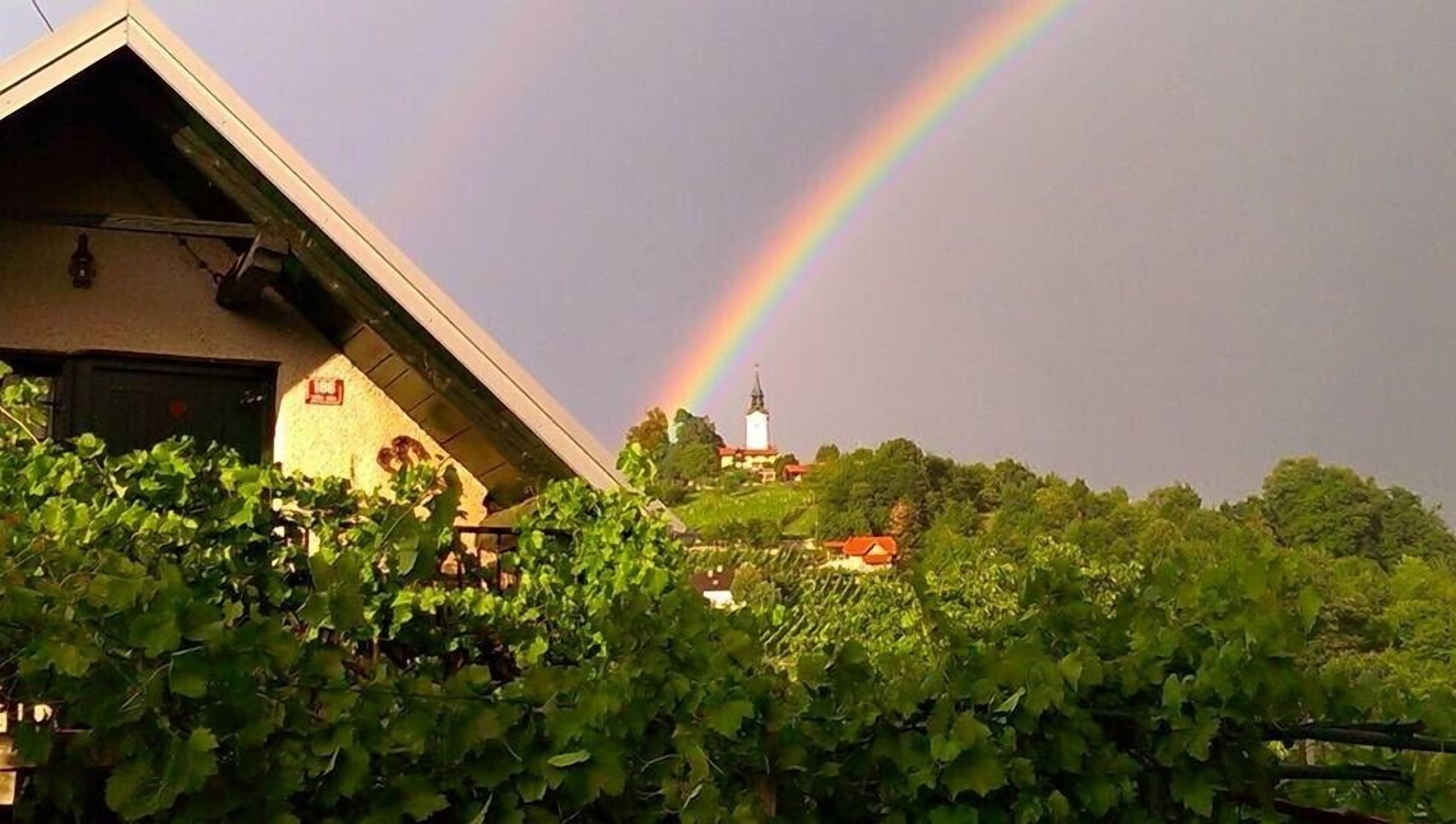 A vineyard with a building in the foreground and a church with a rainbow in the background.