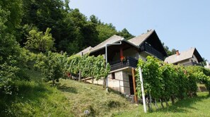 Front of property - Vineyard Cottage Zajc (Semic)