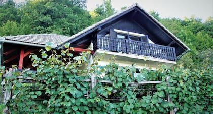 Vineyard Cottage Zajc