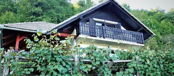 Vineyard Cottage Zajc