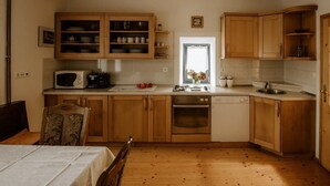 A compact kitchen with wooden cabinets, a microwave, an oven, and a dishwasher. - Vineyard cottage Zdolšek (Šmarje pri Jelšah)