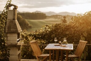 Een terras buiten met een grill van natuursteen, twee houten stoelen en een tafel met een wijnglas, een fles en een schaal druiven.