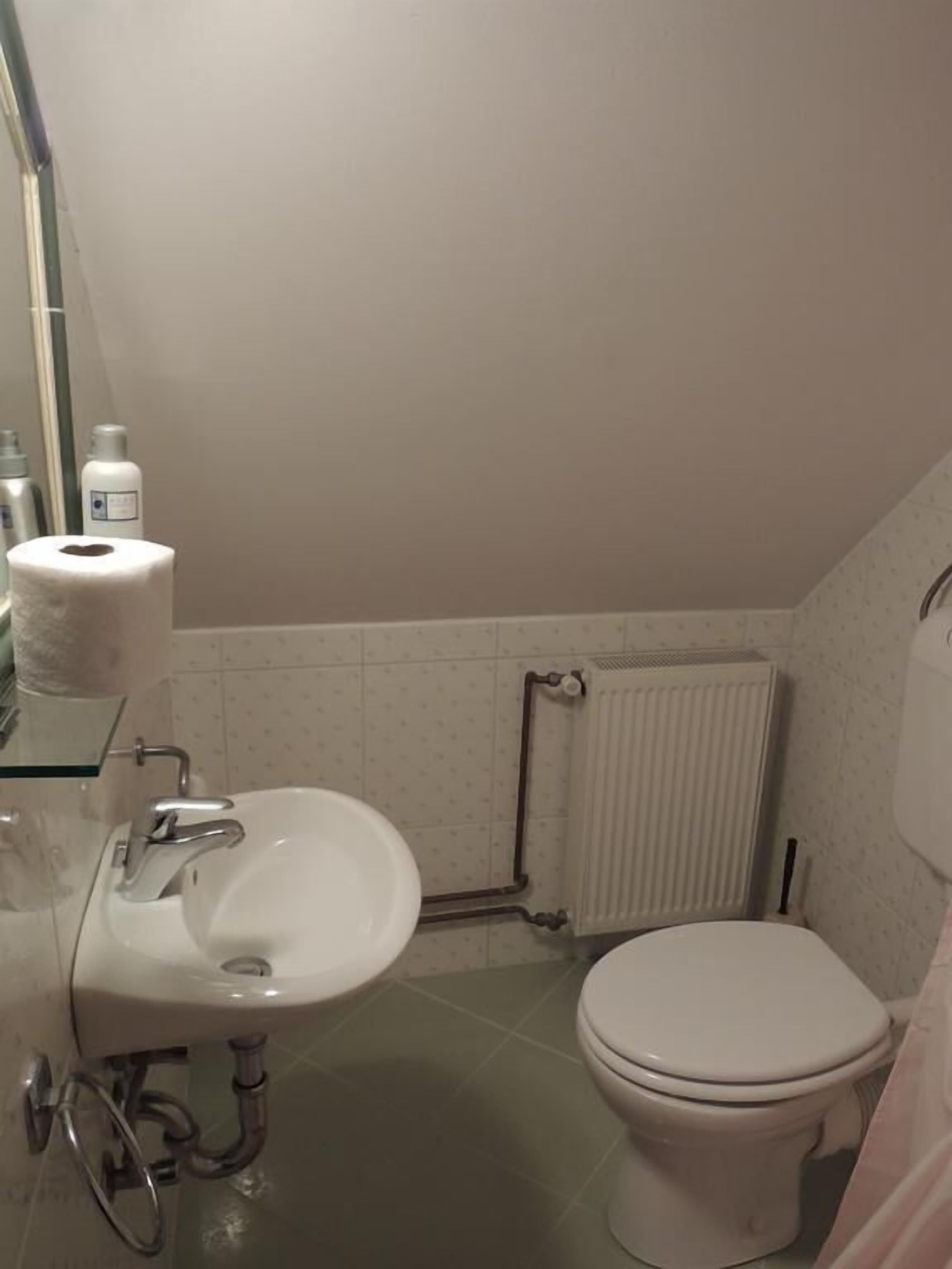 Vineyard cottage Zdolšek