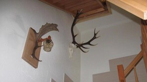 Uklassifisert bilde, 3 av 16, knapp