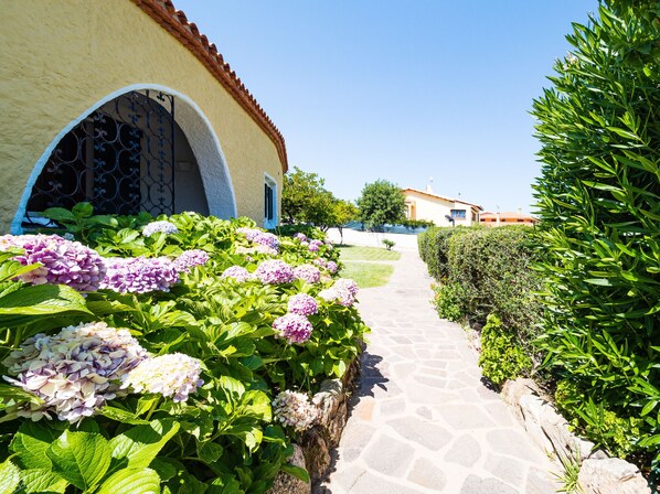 Detalle exterior