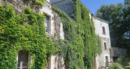 Gite in the heart of the vineyards in Anjou