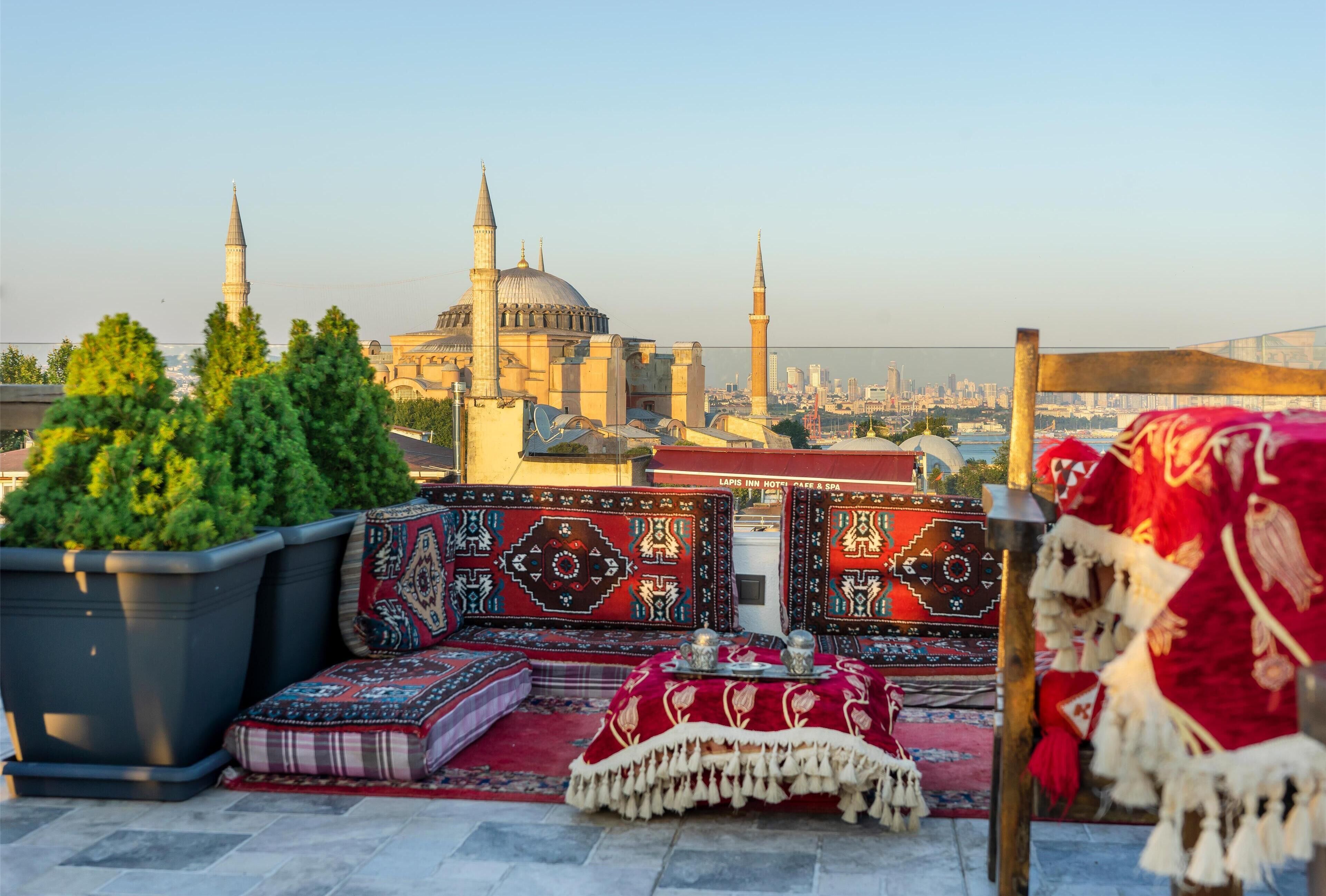 A rooftop terrace with potted plants, traditional rugs, and a view of a mosque with minarets.