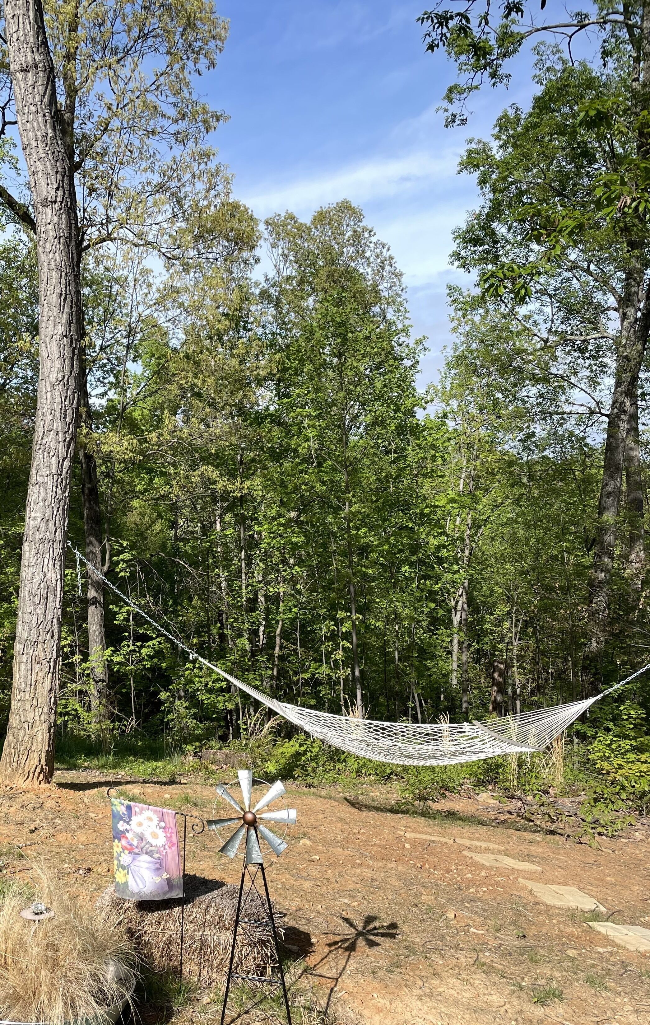 A hammock strung between trees in a forested area with a windmill and a decorative sign.