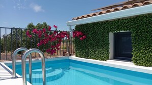 Una piscina con una scala in metallo, circondata da una recinzione metallica e da un muro ricoperto di vegetazione verde.