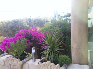 Property grounds - Pretty ground-floor house with garden and terrace (Chott Meriem)