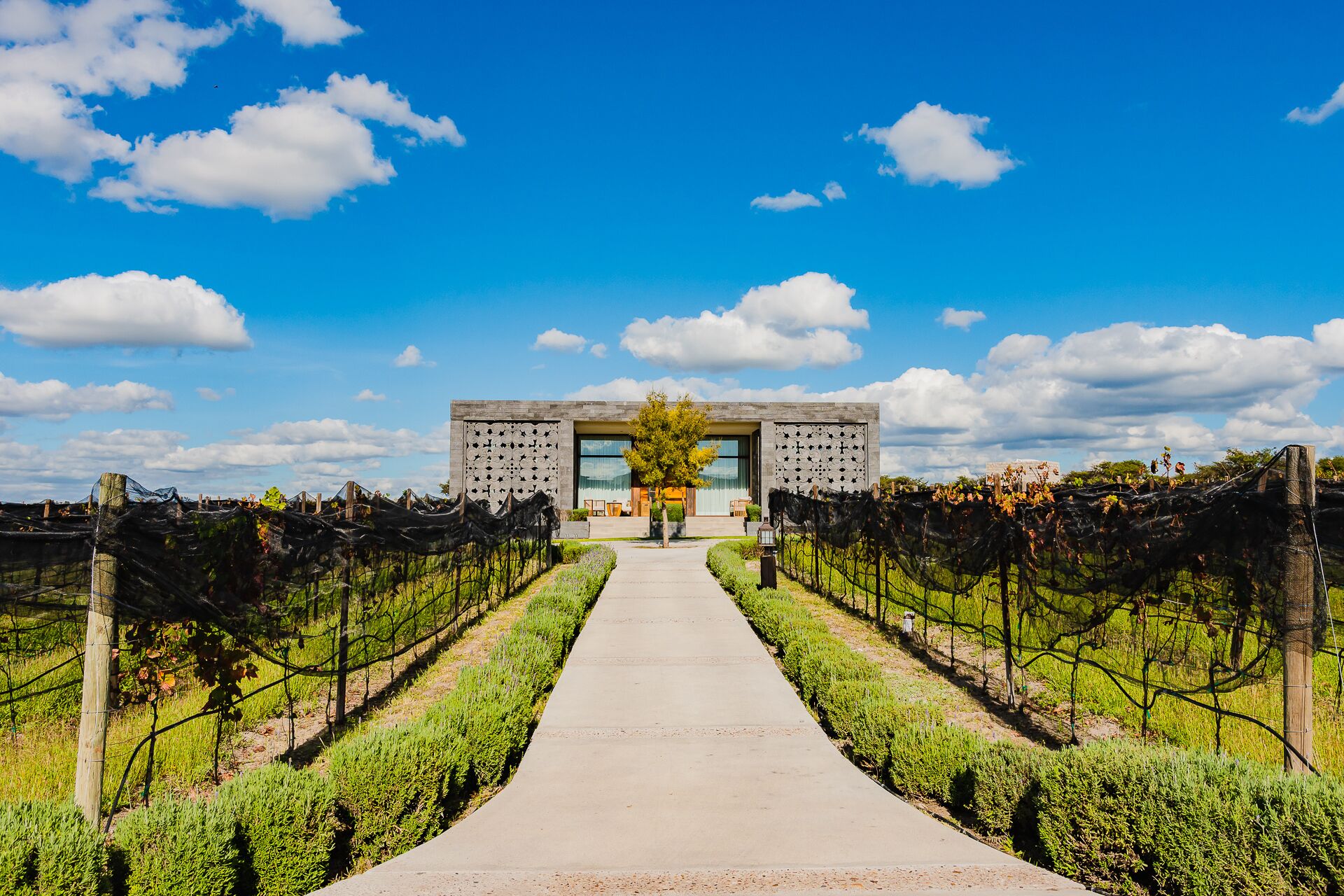 family quadruple room | premium bedding, minibar, in-room safe, laptop workspace