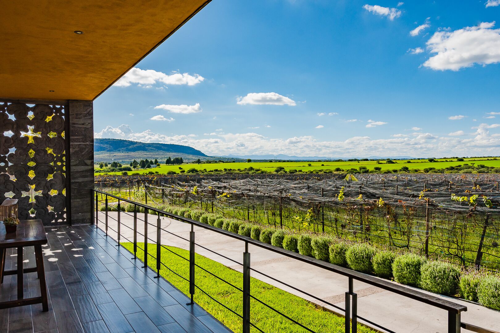 舒适客房, 1 张特大床 | 高档床上用品、迷你吧、客房内保险箱、笔记本电脑工作区