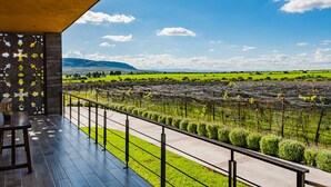 A modern building with a balcony overlooking a vineyard. - Hotel Boutique Tres Raíces (Dolores Hidalgo)