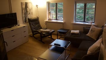 Una Smart TV, una chimenea, videojuegos, un reproductor de DVD