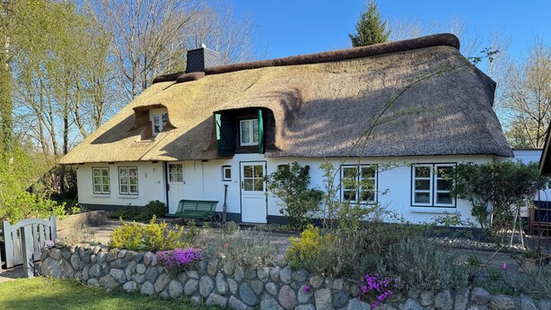 Ein traditionelles Reetdachhaus mit einer Steinmauer und einer Bank im Vorgarten.