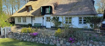 Stylish living under thatch