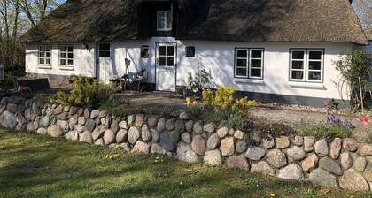 Stylish living under thatch